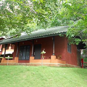 Pigeon nest Villa